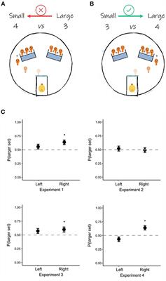 Asymmetric number–space association leads to more efficient processing of congruent information in domestic chicks